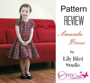 Lily Bird Amanda Dress Sewing Pattern Review DIY Crush,.