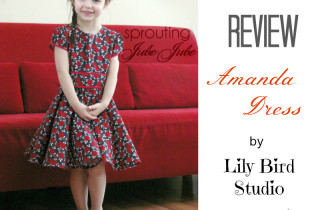Lily Bird Amanda Dress Sewing Pattern Review DIY Crush,.