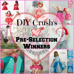 DIY Valentines Challenge – Pre-Winner Selection