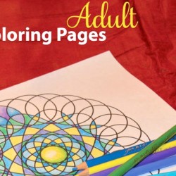 Adult Coloring Book