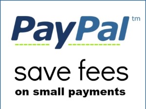 How To Save Paypal Fees For Small Payments | DIY Crush