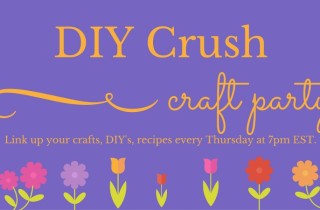 DIY Crush Link Party