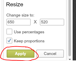 How To Reduce Image Size For Your Blog | DIY Crush