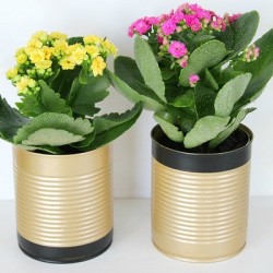 How To Make Aluminum Can Flower Pots