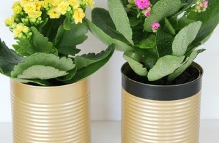 How To Make Aluminum Can Flower Pots | DIY Crush