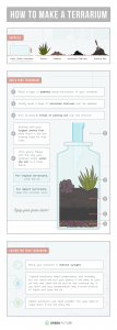 How to make a terrarium at home with these easy steps.