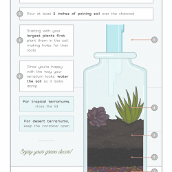 How To Make A Terrarium