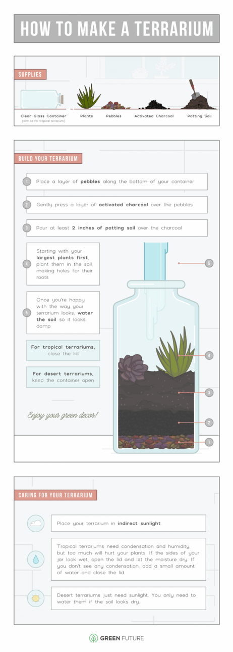 How To Make A Terrarium - DIY Crush