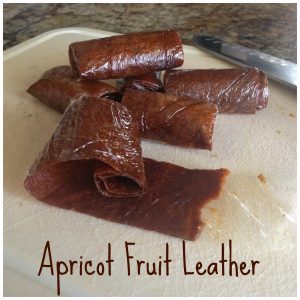 Apricot fruit leather recipe