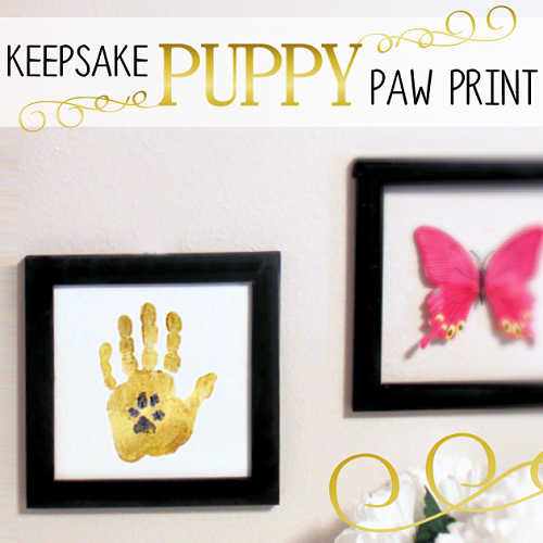 DIY-Keepsake-Puppy-Paw-Print-SQ