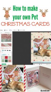 How To Make Holiday Greeting Cards With Pets