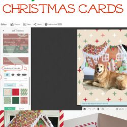 How To Make Holiday Greeting Cards With Pets