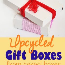 Cereal Box And Fruit Net Gift Box DIY