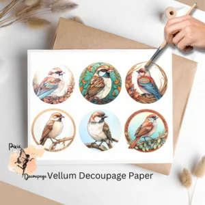 Six images of sparrows. Sparrow Collage 1, Vellum Decoupage Paper