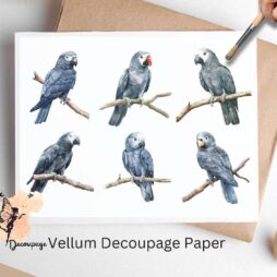 African Grey Parrots Collage 1, Vellum Decoupage Paper
