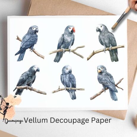 African Grey Parrots Collage 1, Vellum Decoupage Paper