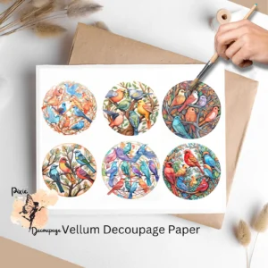 Six images of colorful birds. Birds Collage 1, Vellum Decoupage Paper