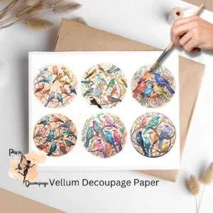 Six images of colorful birds. Birds Collage 2, Vellum Decoupage Paper