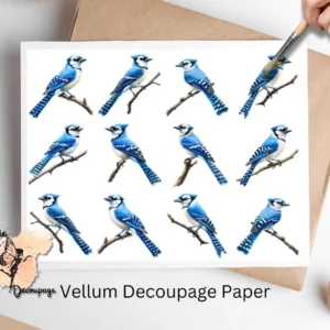 Blue Jay Collage 1, Vellum Decoupage Paper