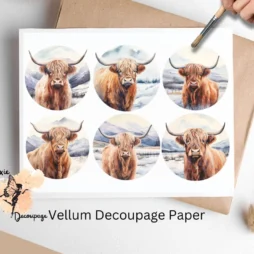 Six images of highland cows. Highland Cow Portrait in Snow Circle Collage 2, Vellum Decoupage Paper