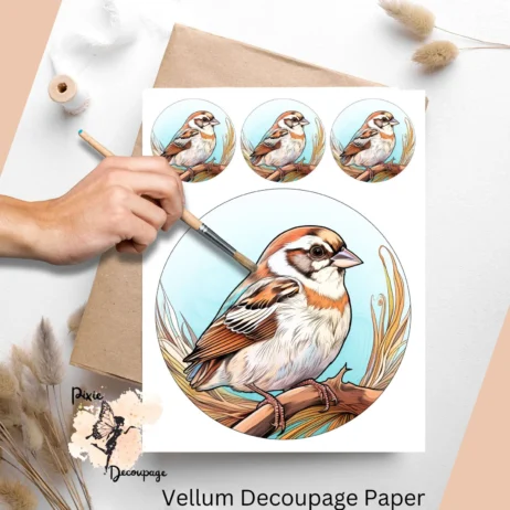 Image of sparrows.