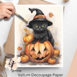 Image of a black cat on a pumpkin. Whimsical Halloween Black Cat 2, Vellum Decoupage Paper