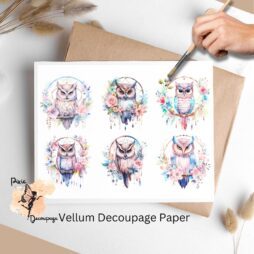 Six images of owls. Boho Owl Collage 2, Vellum Decoupage Paper