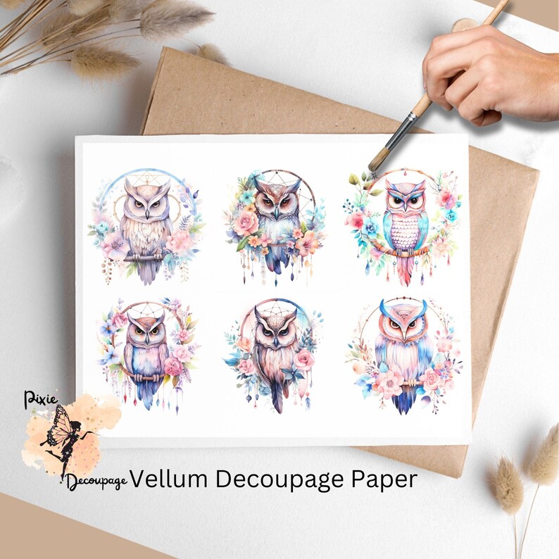Six images of owls. Boho Owl Collage 2, Vellum Decoupage Paper