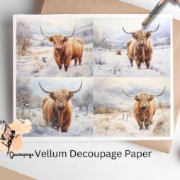 Four images of highland cows in snow. Highland Cow in Snow Collage 3, Vellum Decoupage Paper