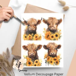 Four images of cows and sunflowers. Baby Highland Cow with Sunflowers Collage 2, Vellum Decoupage Paper