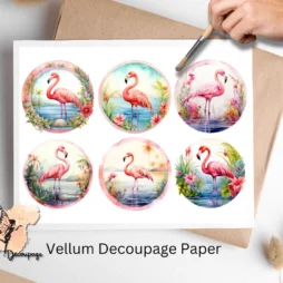 Six images of flamingos in circles. Flamingo Circle Collage 1