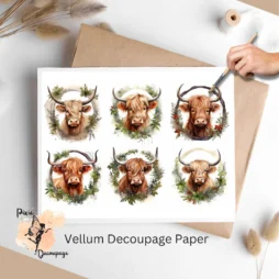 Six images of highland cows. Highland Cow Collage 2, Vellum Decoupage Paper