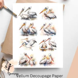 Eight images of pelicans. Pelicans Collage 3, Vellum Decoupage Paper