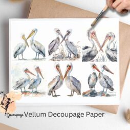 Six images of pelicans. Pelicans Collage 1, Vellum Decoupage Paper