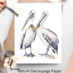 Image of 2 pelicans. Pelicans 1 - Premium Vellum Decoupage Paper (NOT rice paper!! NOT suitable for curved surfaces such as shells!!) 8.5x11 inches (