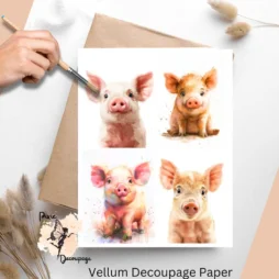 Four images of piglets. Baby Piglet Collage 2, Vellum Decoupage Paper
