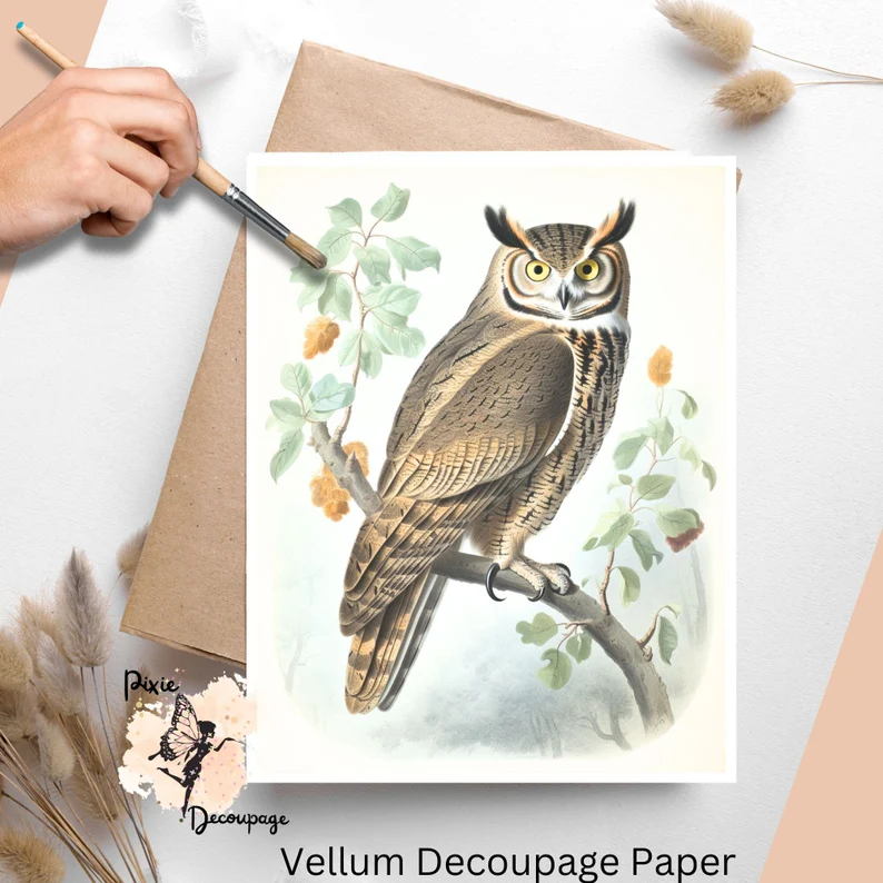 Image of an owl. Vintage Owl 6, Vellum Decoupage Paper