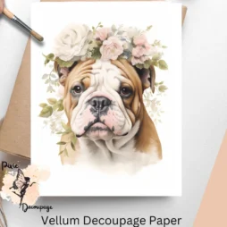 English Bulldog Portrait 3, Vellum Decoupage Paper