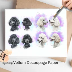 Eight images of white and black poodles. Black and White Poodle Collage 1, Vellum Decoupage Paper