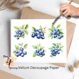 Blueberries Collage 1, Vellum Decoupage Paper