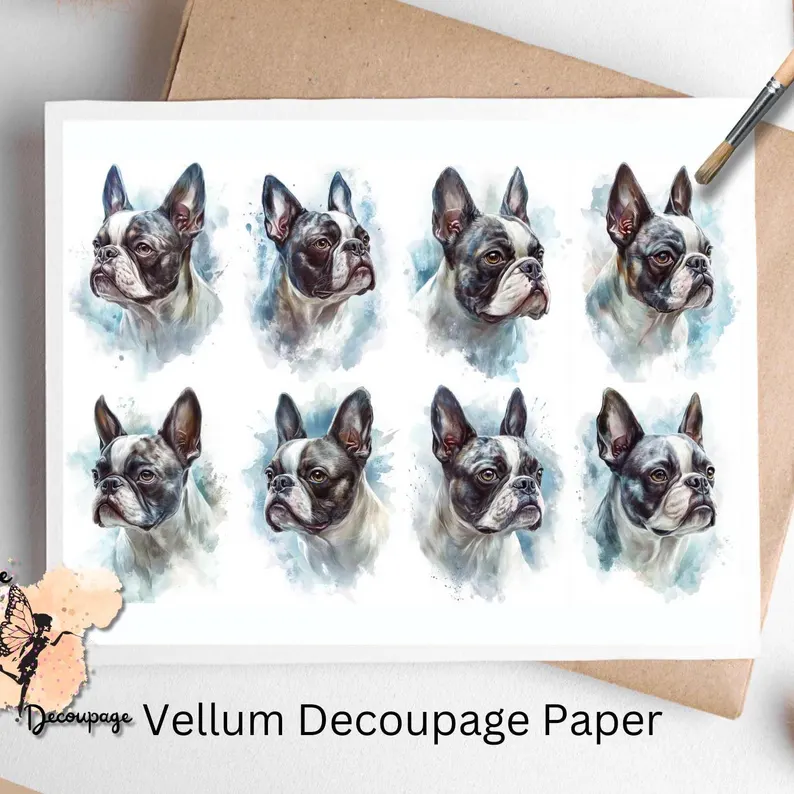 Boston Terrier Collage 1, Vellum Decoupage Paper