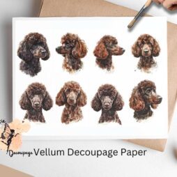Eight images of brown poodles. Brown Poodle Collage 1, Vellum Decoupage Paper