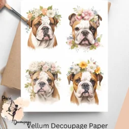 Four images of bulldogs and flowers. English Bulldog Portrait Collage 1, Vellum Decoupage Paper