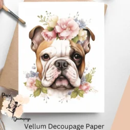 Image of a bulldog. English Bulldog Portrait 2, Vellum Decoupage Paper