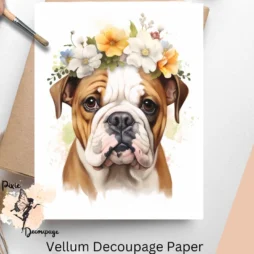 Image of an English Bulldog, English Bulldog Portrait 4, Vellum Decoupage Paper