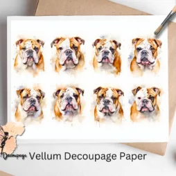 Eight small images of bulldogs. English Bulldog Collage 1, Vellum Decoupage Paper