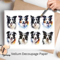 Eight images of border collies. Border Collie Collage 1, Vellum Decoupage Paper