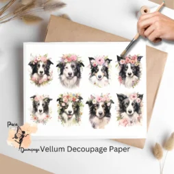 Eight images of border collies and flowers. Border Collie Portrait Collage 1, Vellum Decoupage Paper