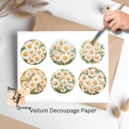 Six images of daisies. Daisies Collage 2, Vellum Decoupage Paper