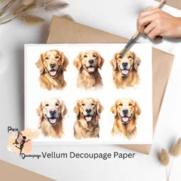 Six images of Golden Retrievers. Golden Retriever Portrait Collage 2, Vellum Decoupage Paper